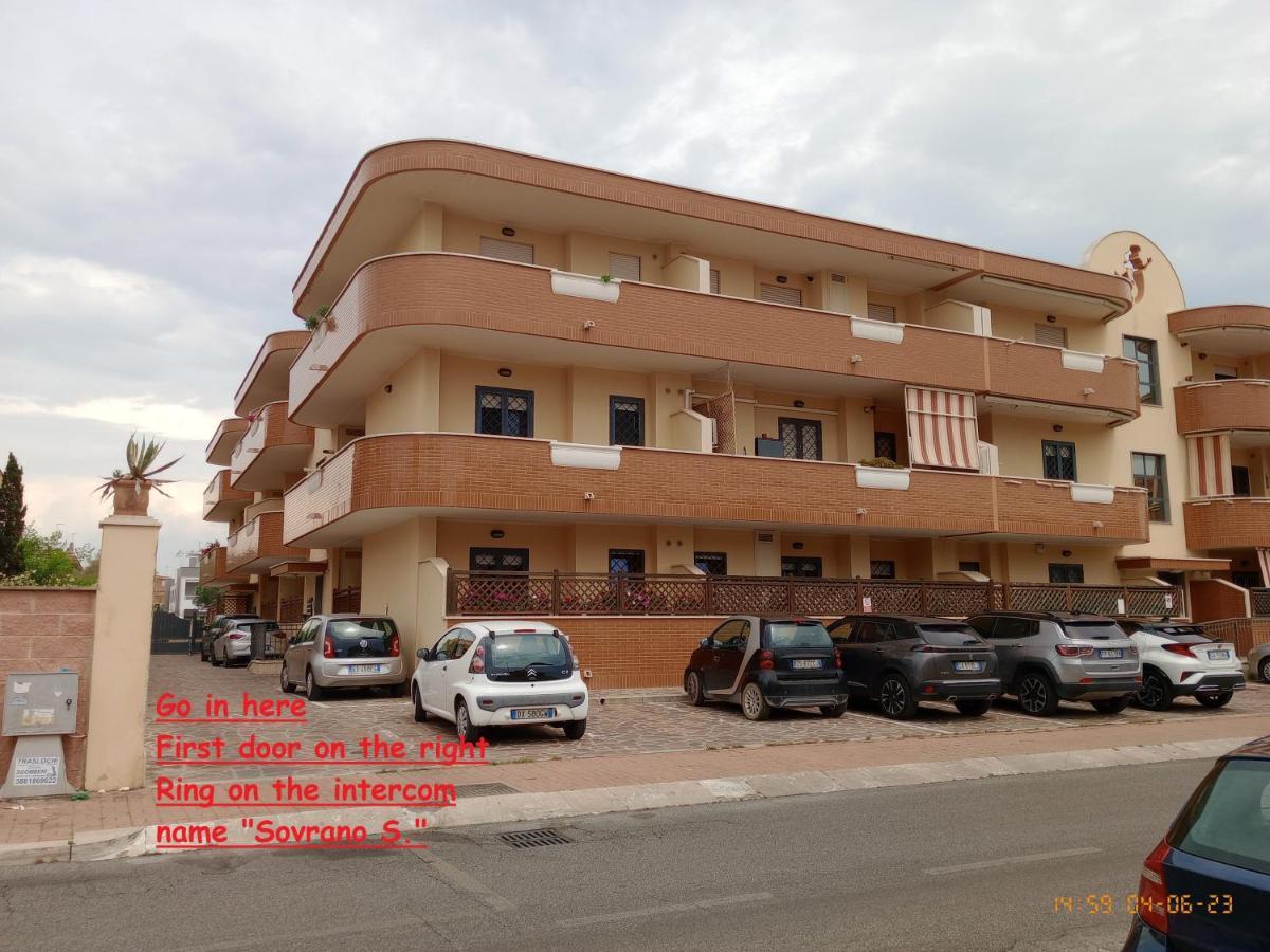 Summer&Winter Home By The Sea Fiumicino Exterior foto